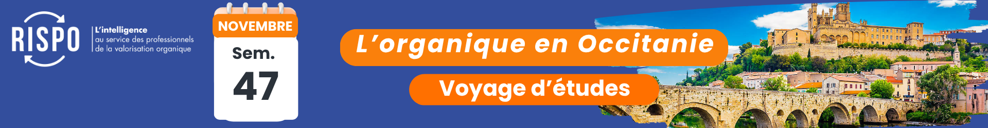 Copie de Sans titre